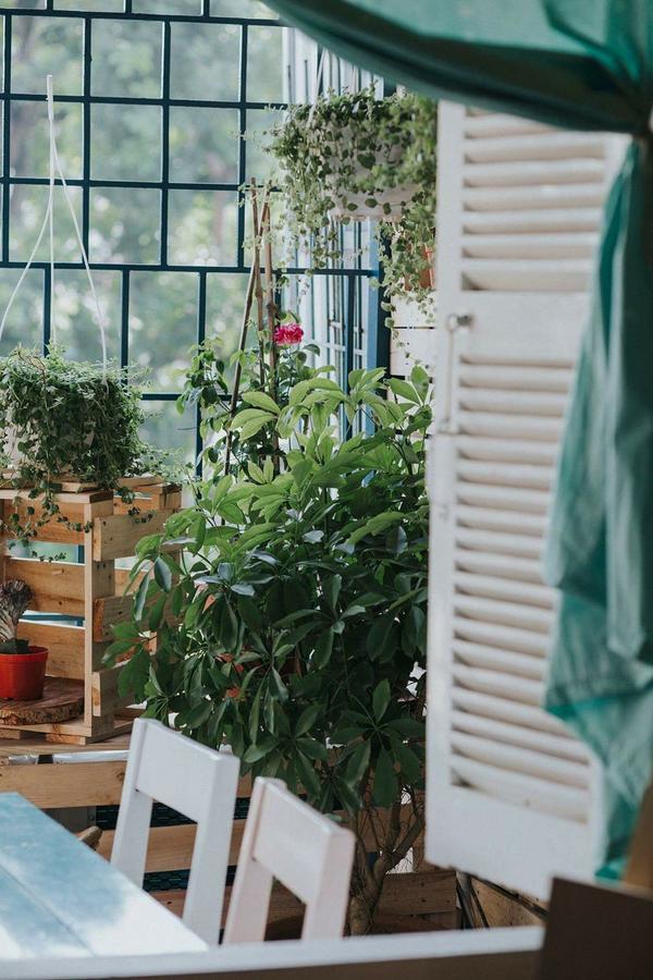 Momento Boutique House 1 Hostel Hà Nội Ngoại thất bức ảnh